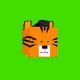 TigerKinz
