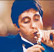 Scarface collect