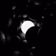 Between Light & Darkness