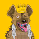 KOOKY HYENA