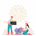 Cultivation of Crypto