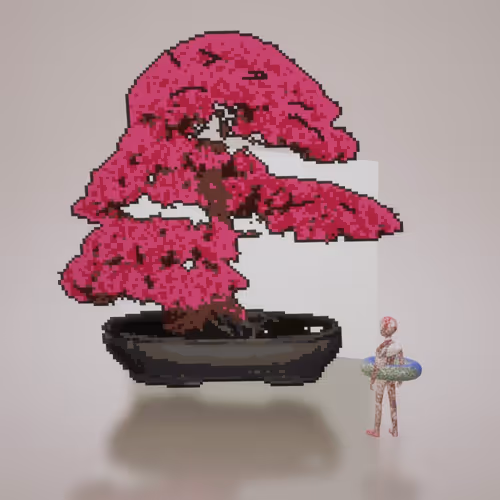 BonsaiBarry Collection