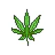 Crypto Kush