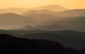 SCOTLAND 1/1