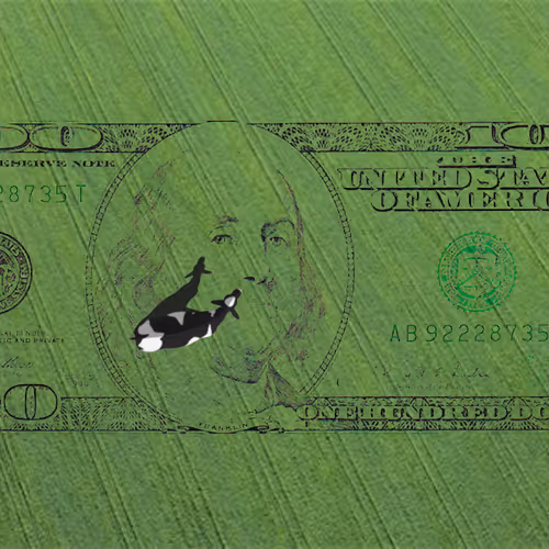 GemMiner Collection (Grants Cow)