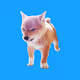 Doge Element