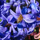Colourful Nature Photography