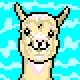 CryptoAlpaca