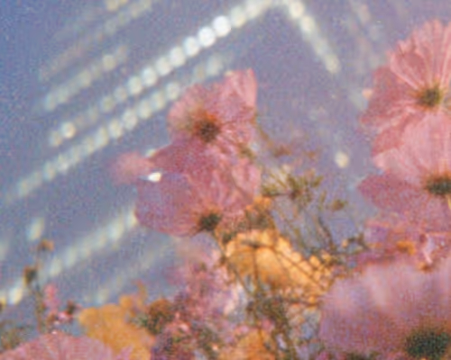 Frontier Tower Signatories