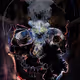 AmazingSkulls