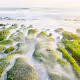 Laomei Green Reef in TAIWAN