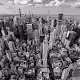 The Shadows of New York