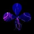Syntropy - Genesis collection