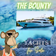 Ape Yacht Sale Club
