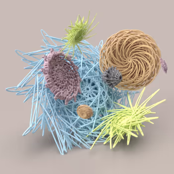 Geometrical Romance by Doeva