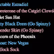 Loot (For Trans Girls)