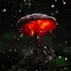 M@gic Mushrooms