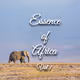 Essence of Africa