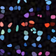 Butterflies — Based on Checks by VV