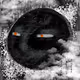 PLANET-X261