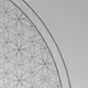 Fractal State