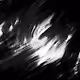 DARKNESS 113