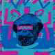 GLITCH'