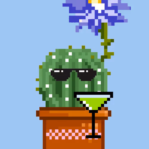 Succulent pixel collection