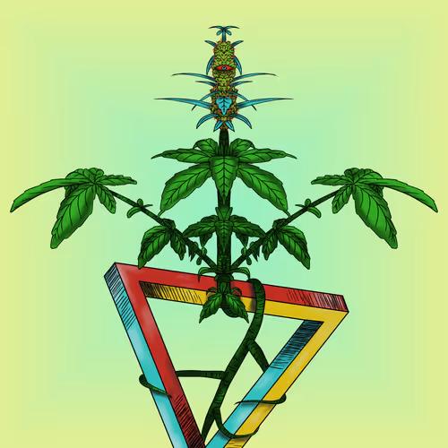 CryptoBordies Origins - Buds