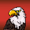 8 Bit American Eagles