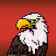 8 Bit American Eagles