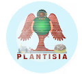 Plantisia-Special - old