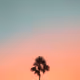 Carefree Moments