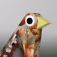 for the birds