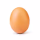 World Record Egg