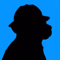 LBR Platinum Hardhat Membership