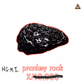 ngmi pranksy rocks