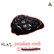 ngmi pranksy rocks