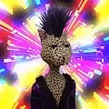 3D Space Cat_Gang
