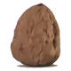 Crypto Daring Nuts