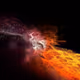 muLabsDAO Artists BioNFTs