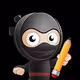 National Ninja