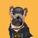 Frenchies NFT