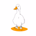 everything is duck.