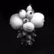 FIORITURE NOTTURNE - night blooms