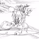 Landscape SC