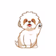 Shih Tzu Social Club
