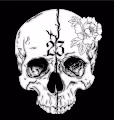 Adam23eva