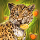 "Animals and Crypto world"