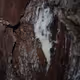 Buttery Bark - old